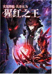 猫咪事务所 治愈日常动画海报